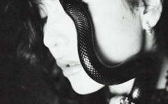 在线无限看免费丝瓜苏州晶体公司